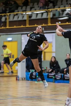 Bild 199 - wBJ SV Henstedt Ulzburg - TuRa Meldorf : Ergebnis: 22:38